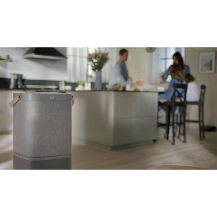 Electrolux - Filtr do oczyszczacza powietrza - EFDCAR6
