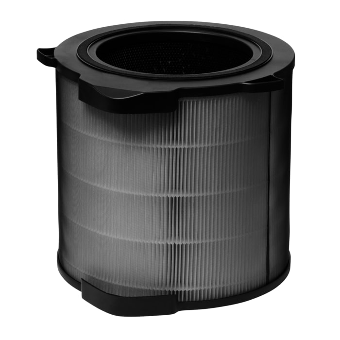 Electrolux - Filtr do oczyszczacza powietrza - EFDCLN4E