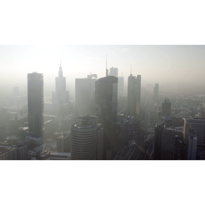 Electrolux - Filtr do oczyszczacza powietrza - EFDBTH4