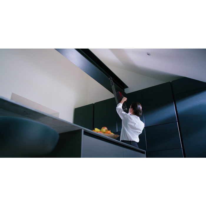 Electrolux - Odkurzacz bezprzewodowy - PF91-ANIMA