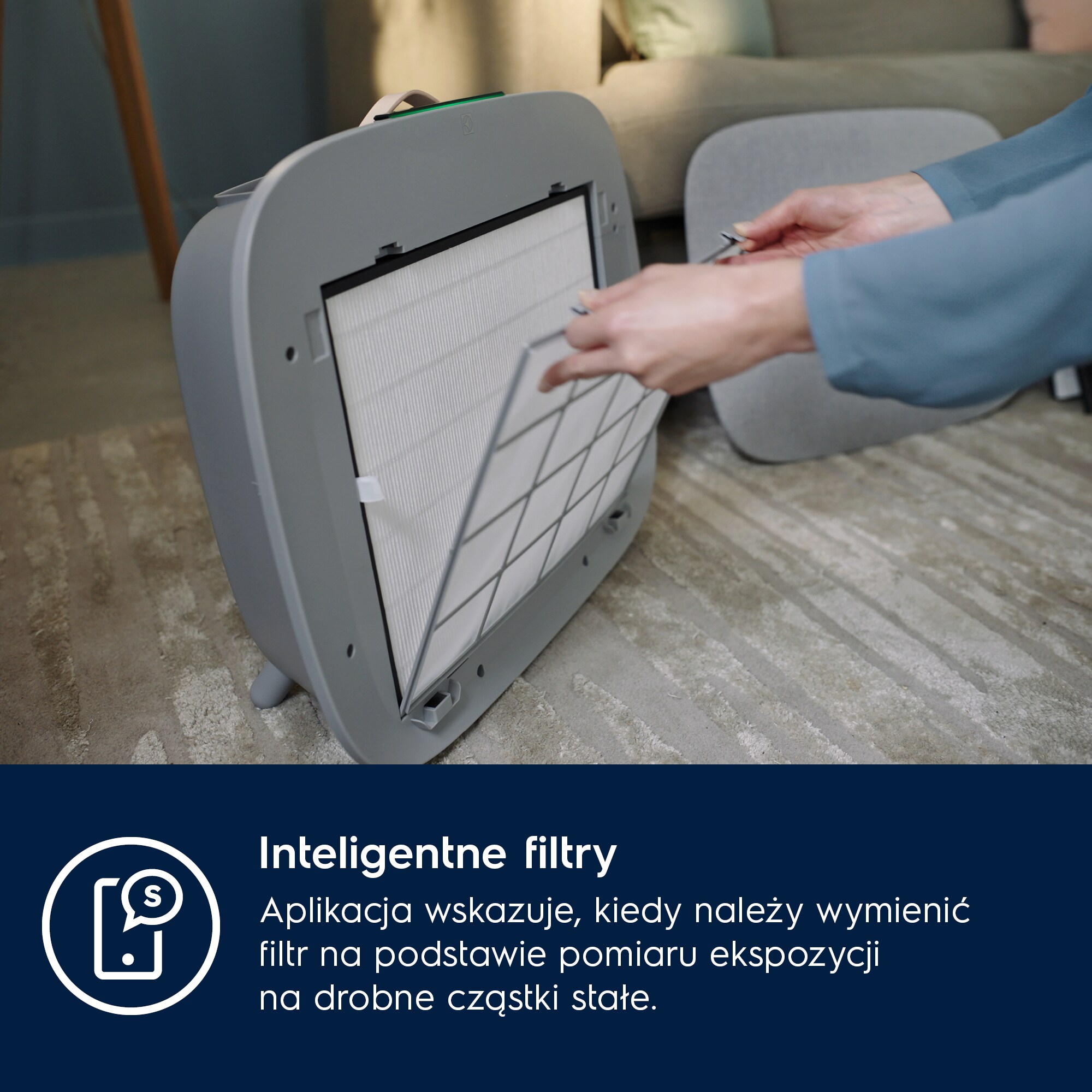 Electrolux - Filtr do oczyszczaczy powietrza - EFWCLN3
