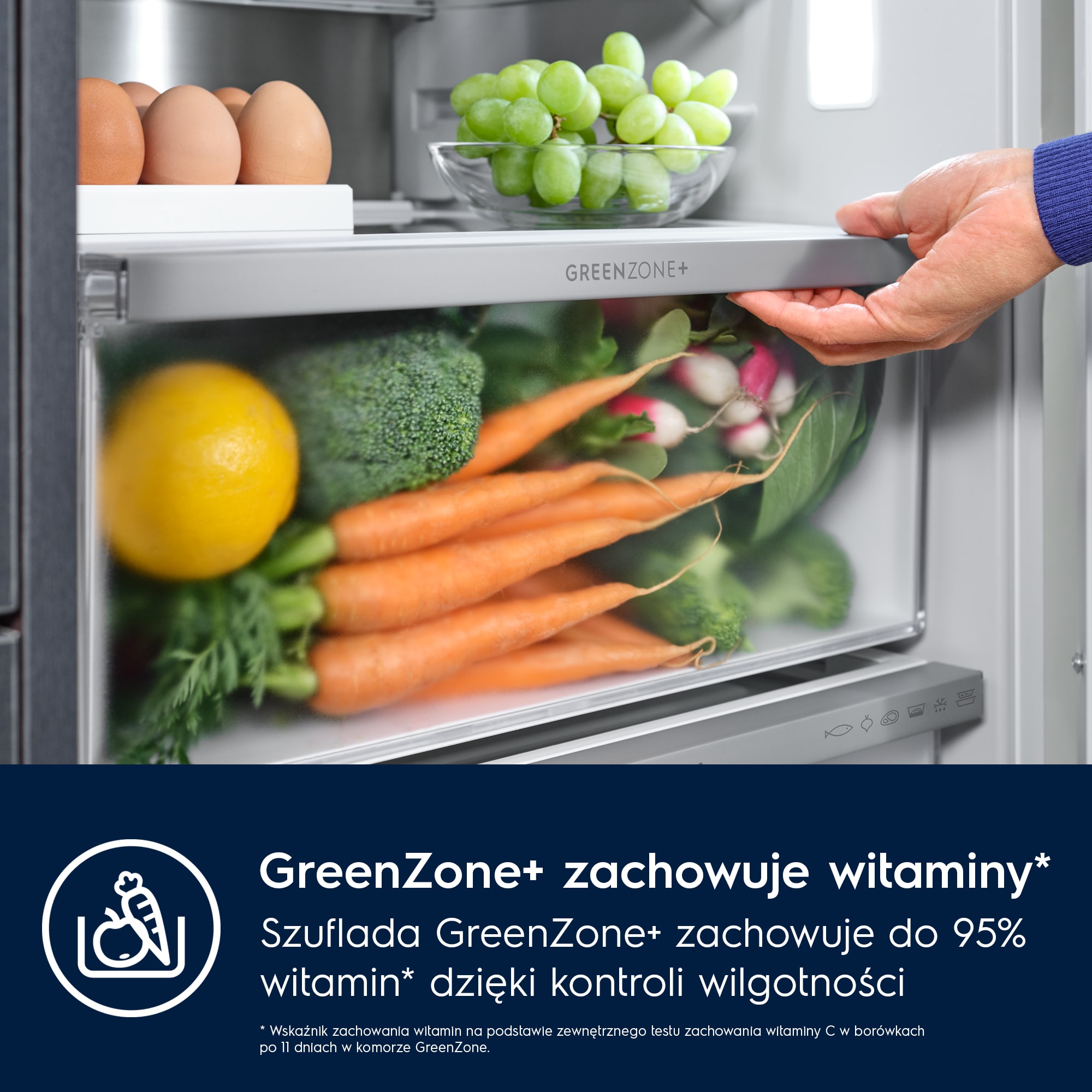 Electrolux - Lodówka do zabudowy - ENC8ME18R