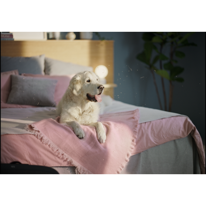 Electrolux - Filtr do oczyszczaczy powietrza - EFWBRZ3