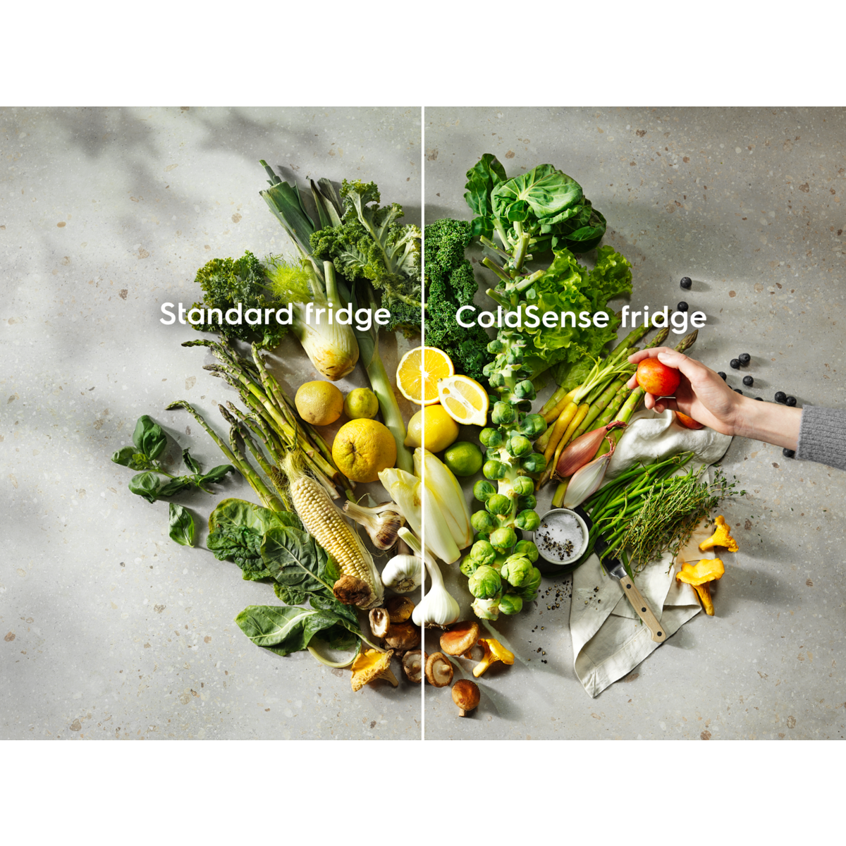 Electrolux - Lodówka do zabudowy - LNT3LF18S