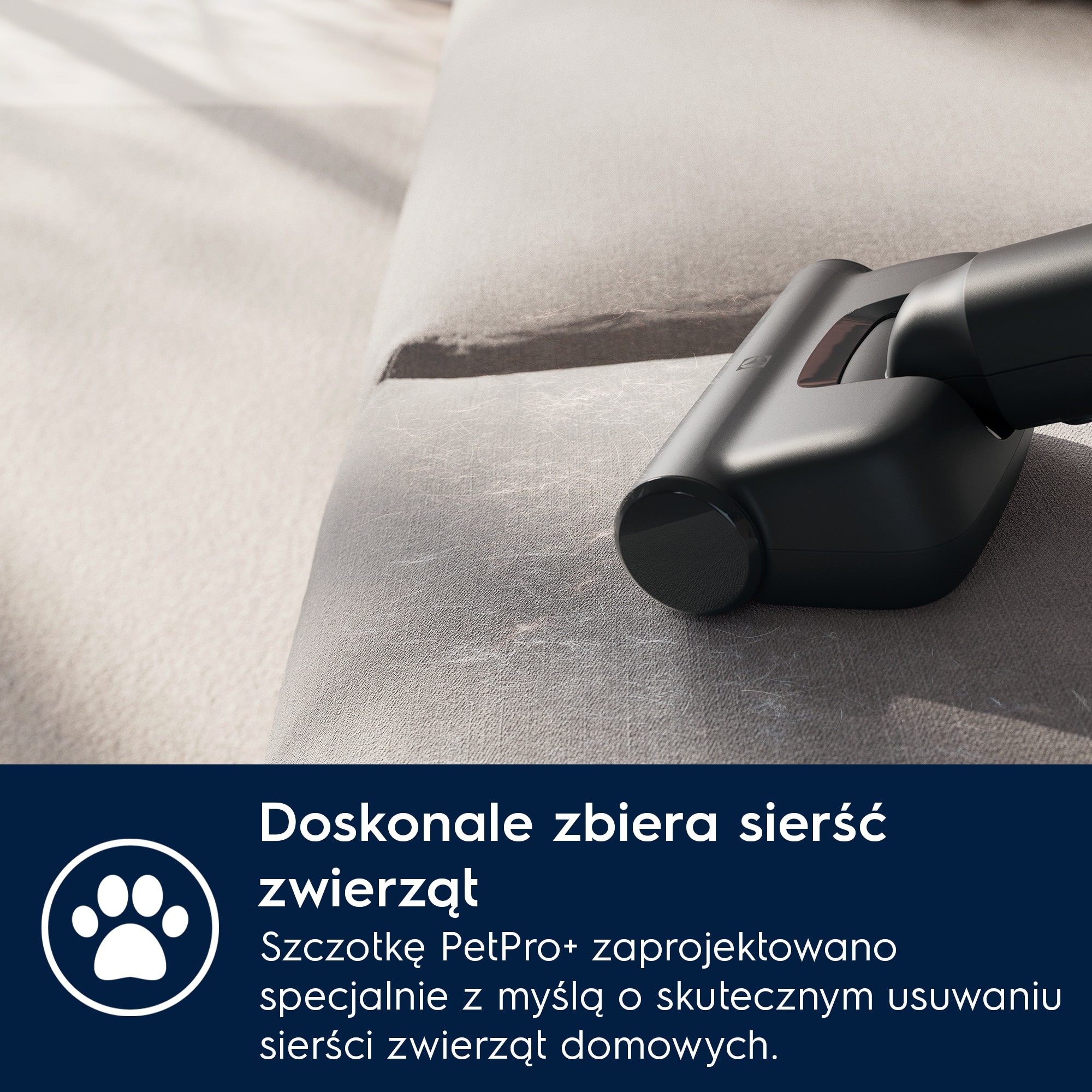 Electrolux - Odkurzacz bezprzewodowy - EP71AB14UG