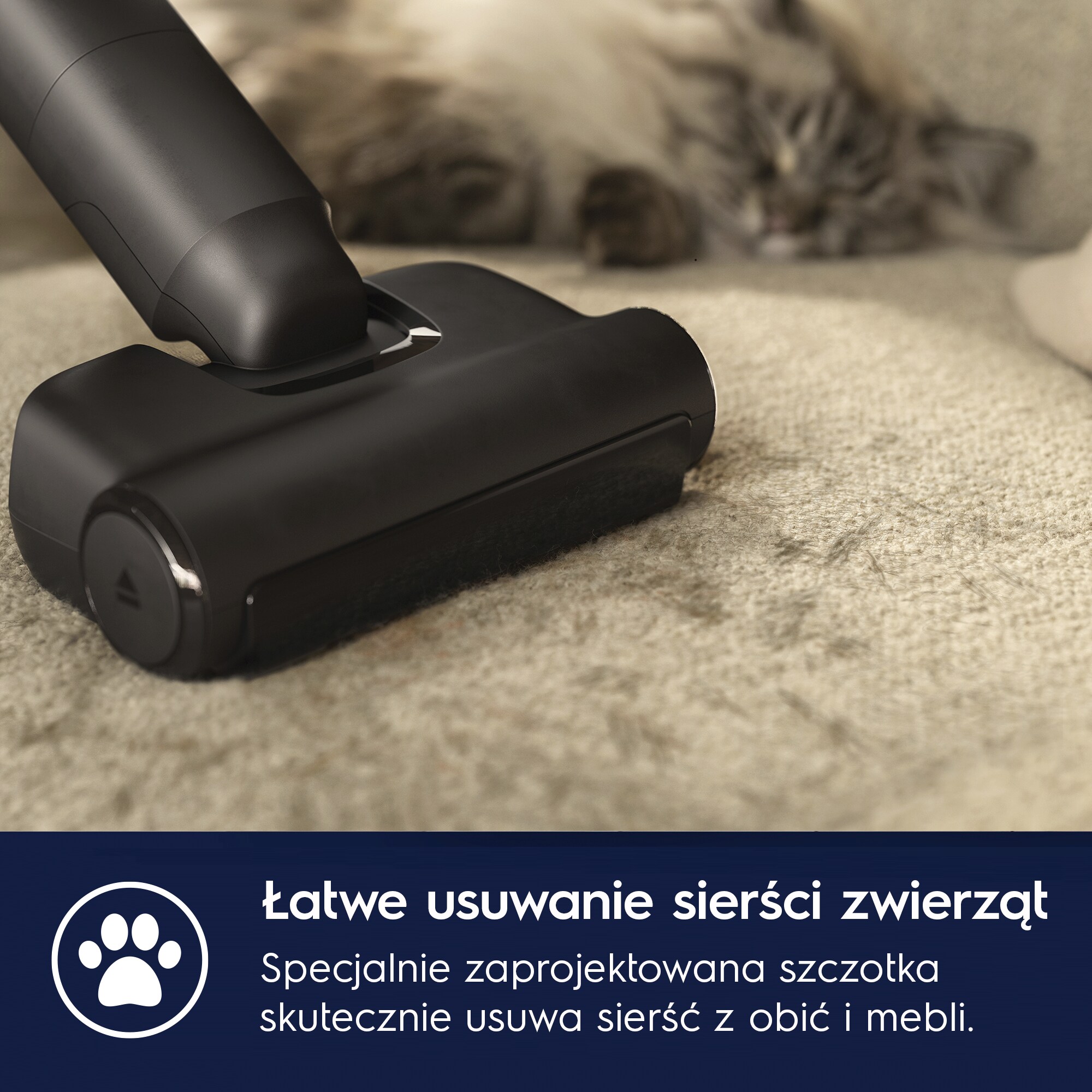 Electrolux - Odkurzacz bezprzewodowy - EP82AB25UG