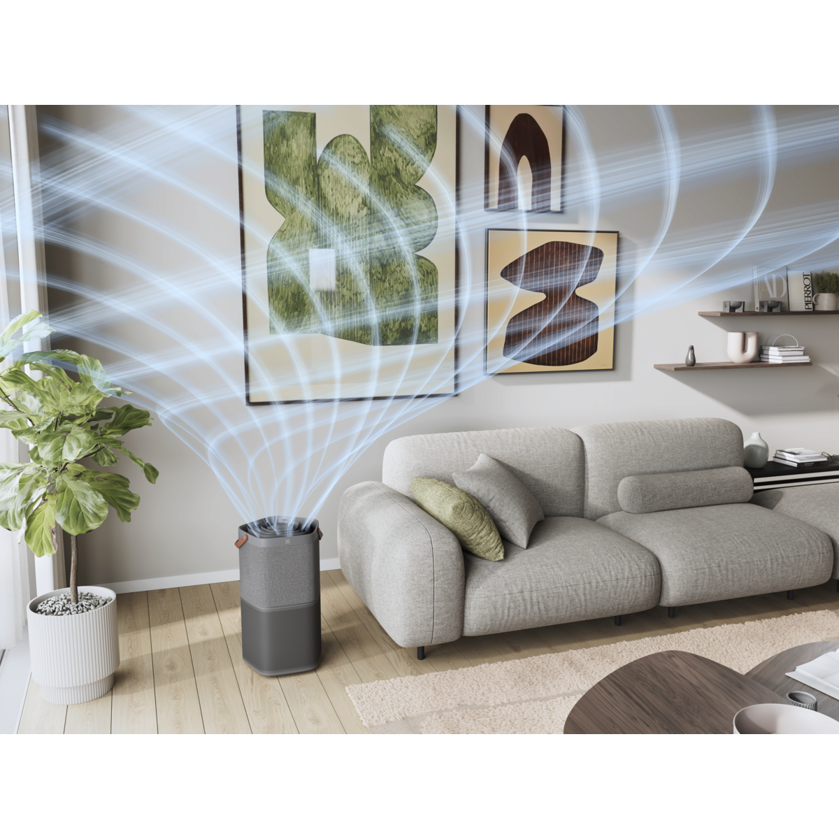 Electrolux - Oczyszczacz powietrza - EPO60571DG