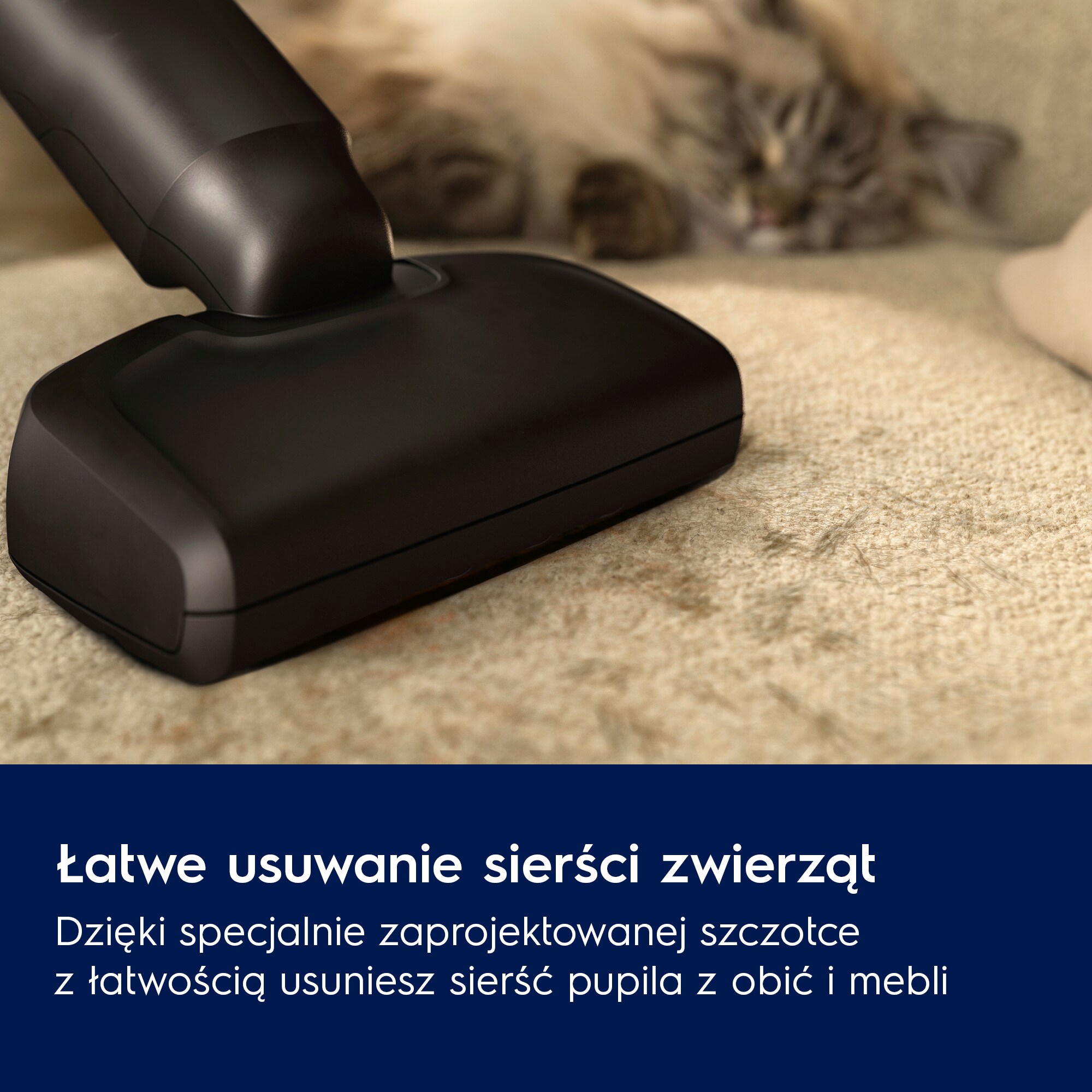 Electrolux - Odkurzacz bezprzewodowy - EP61AB21UG
