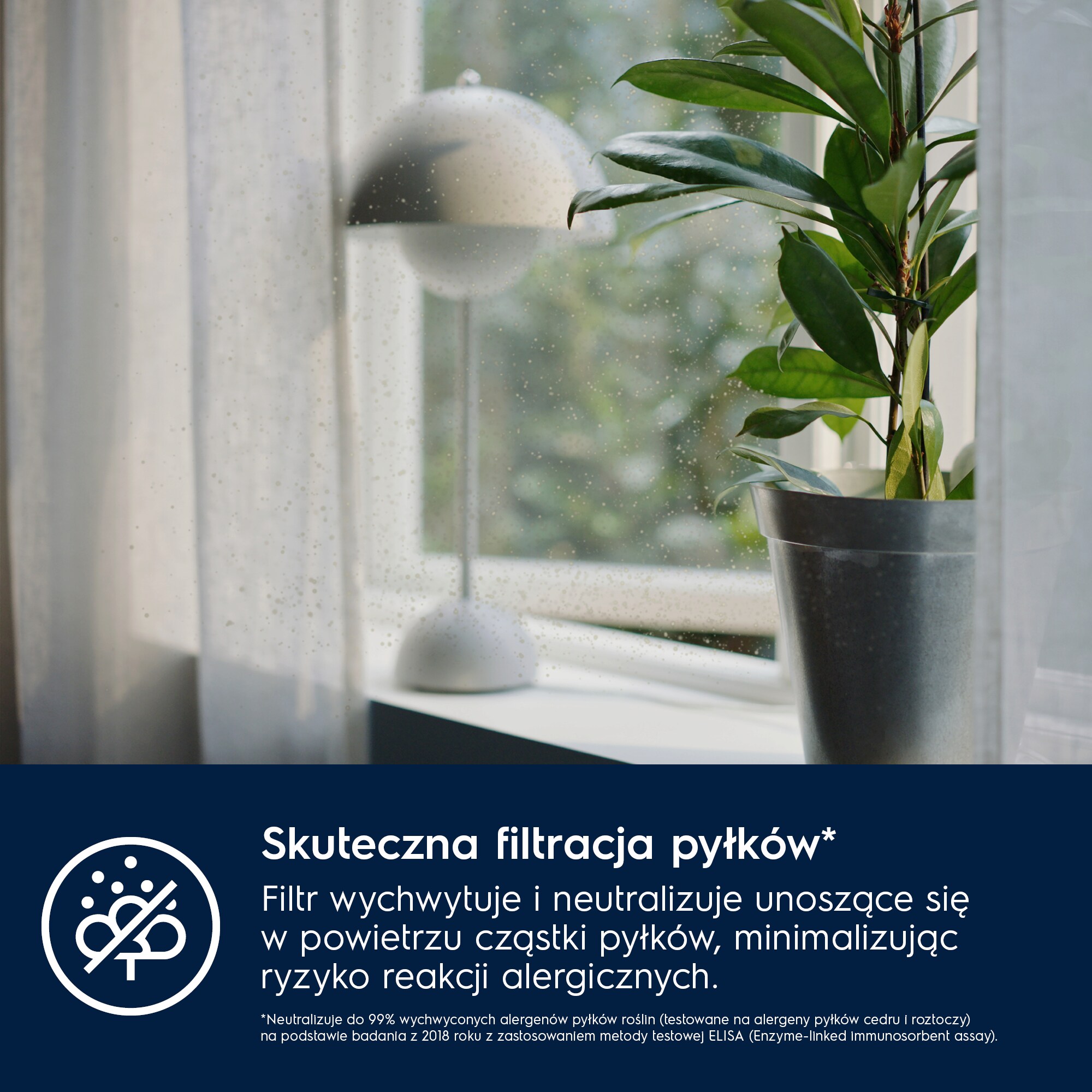 Electrolux - Filtr do oczyszczaczy powietrza - EFWBTH3