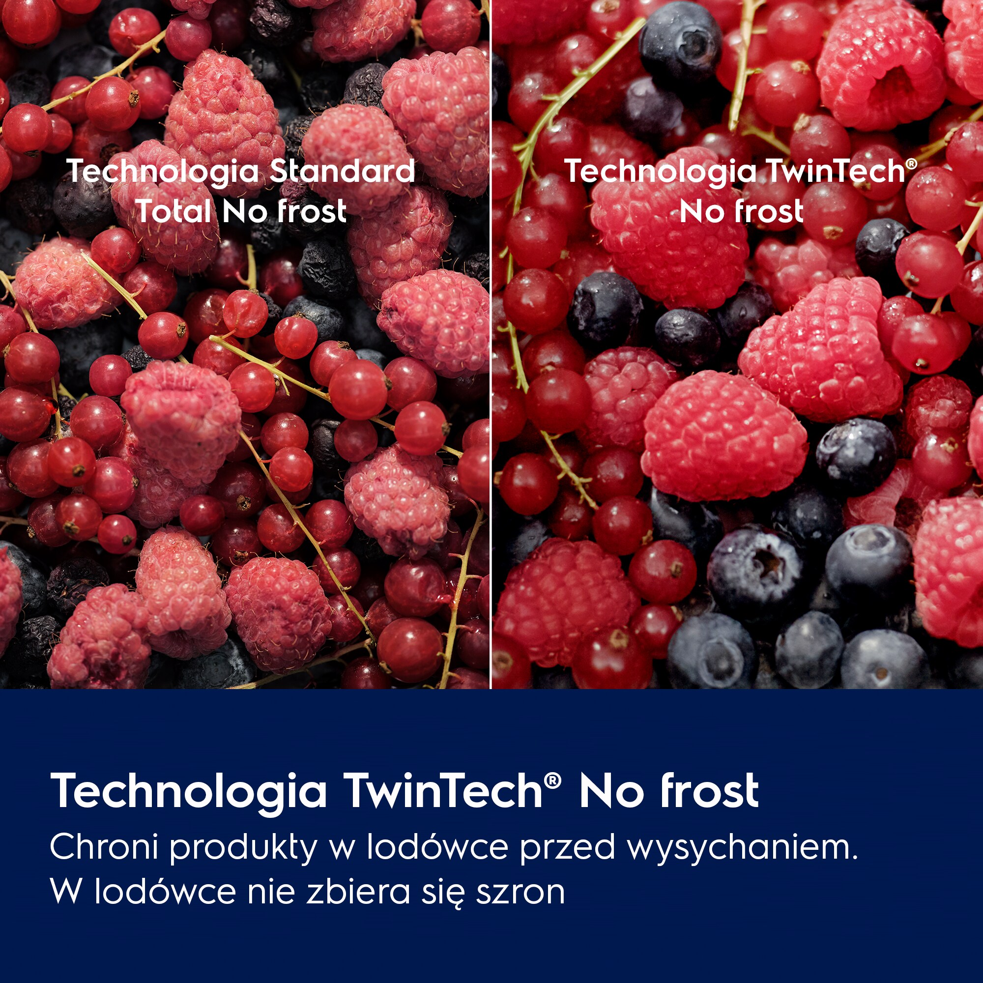 Electrolux - Lodówka do zabudowy - ENS6TE19S
