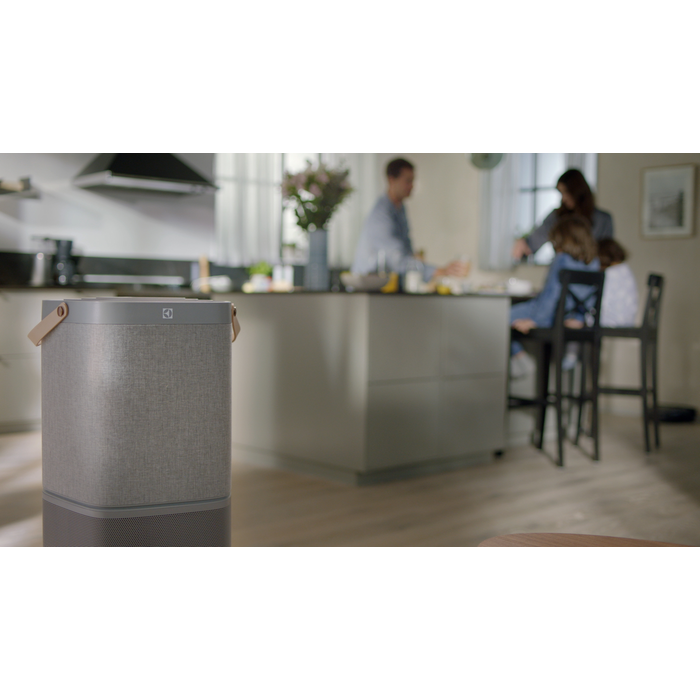 Electrolux - Filtr do oczyszczacza powietrza - EFDBTH4