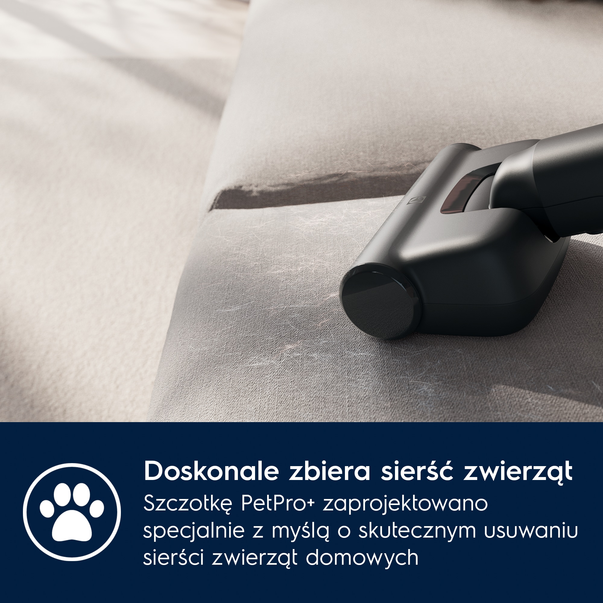Electrolux - Odkurzacz bezprzewodowy - EP71AB14UG