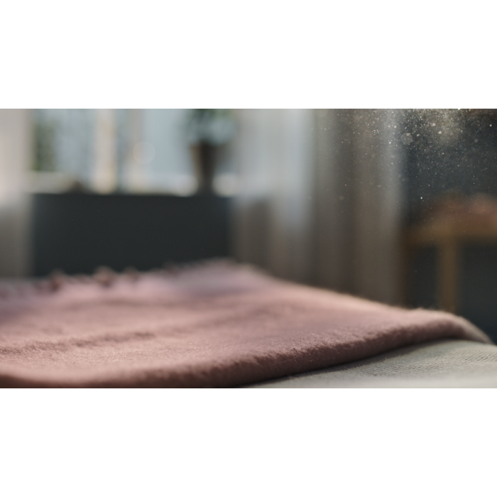 Electrolux - Filtr do oczyszczaczy powietrza - EFWBRZ3