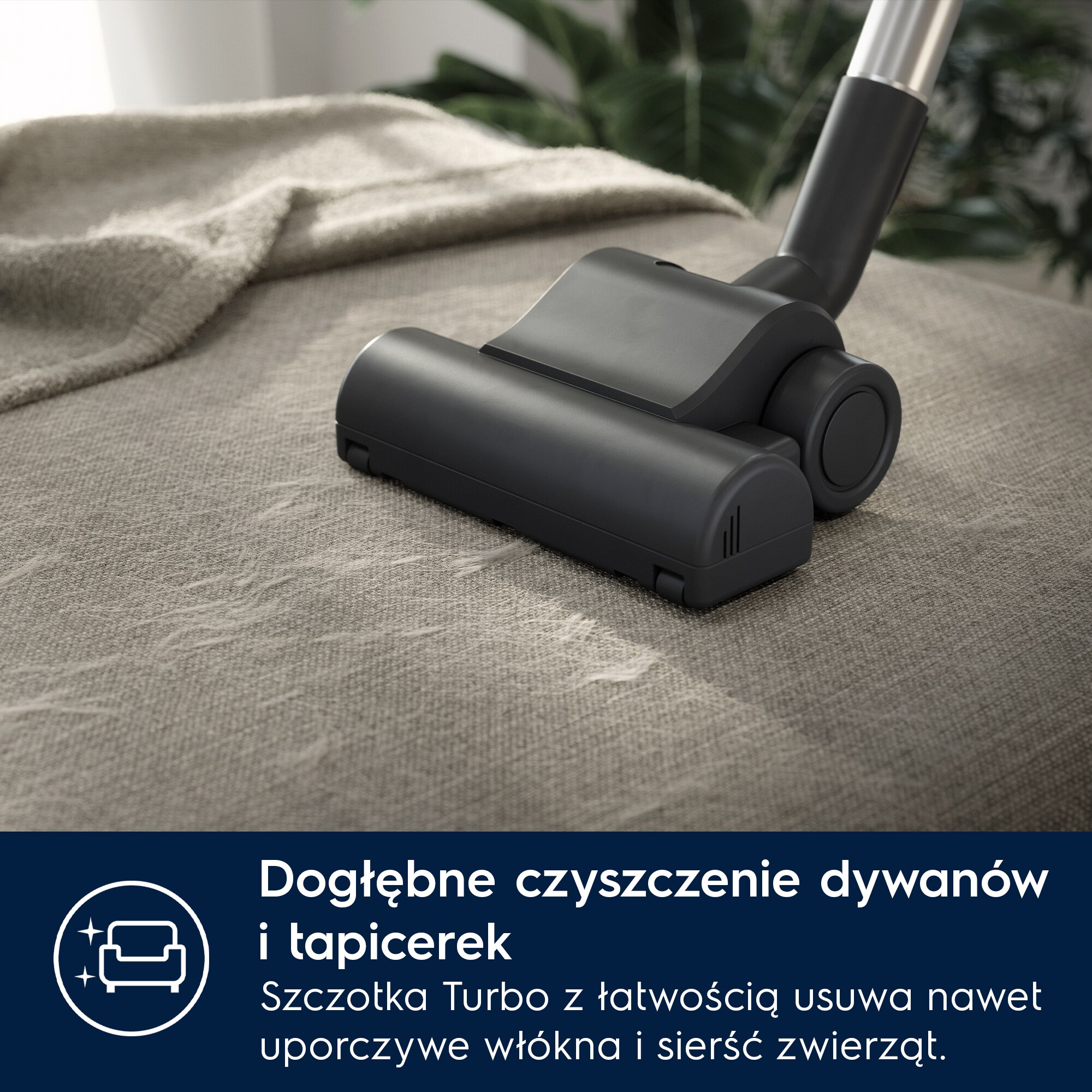 Electrolux - Odkurzacz tradycyjny - EB61H6SW