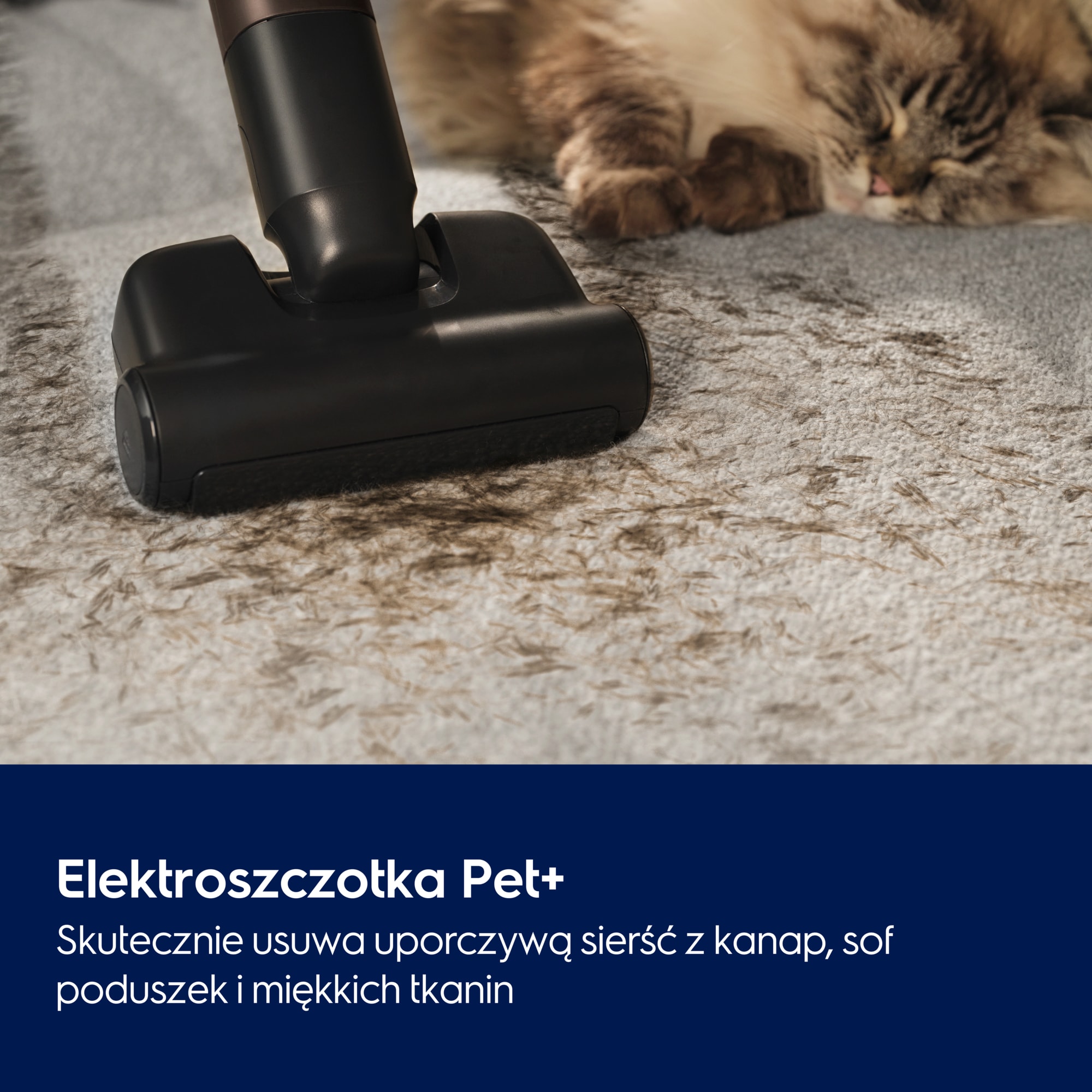 Elektroszczotka Pet+