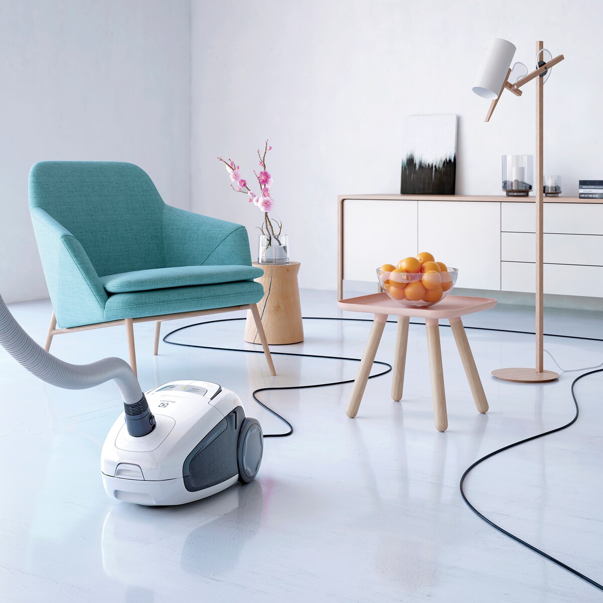 Electrolux - Odkurzacz tradycyjny - USANIMA58