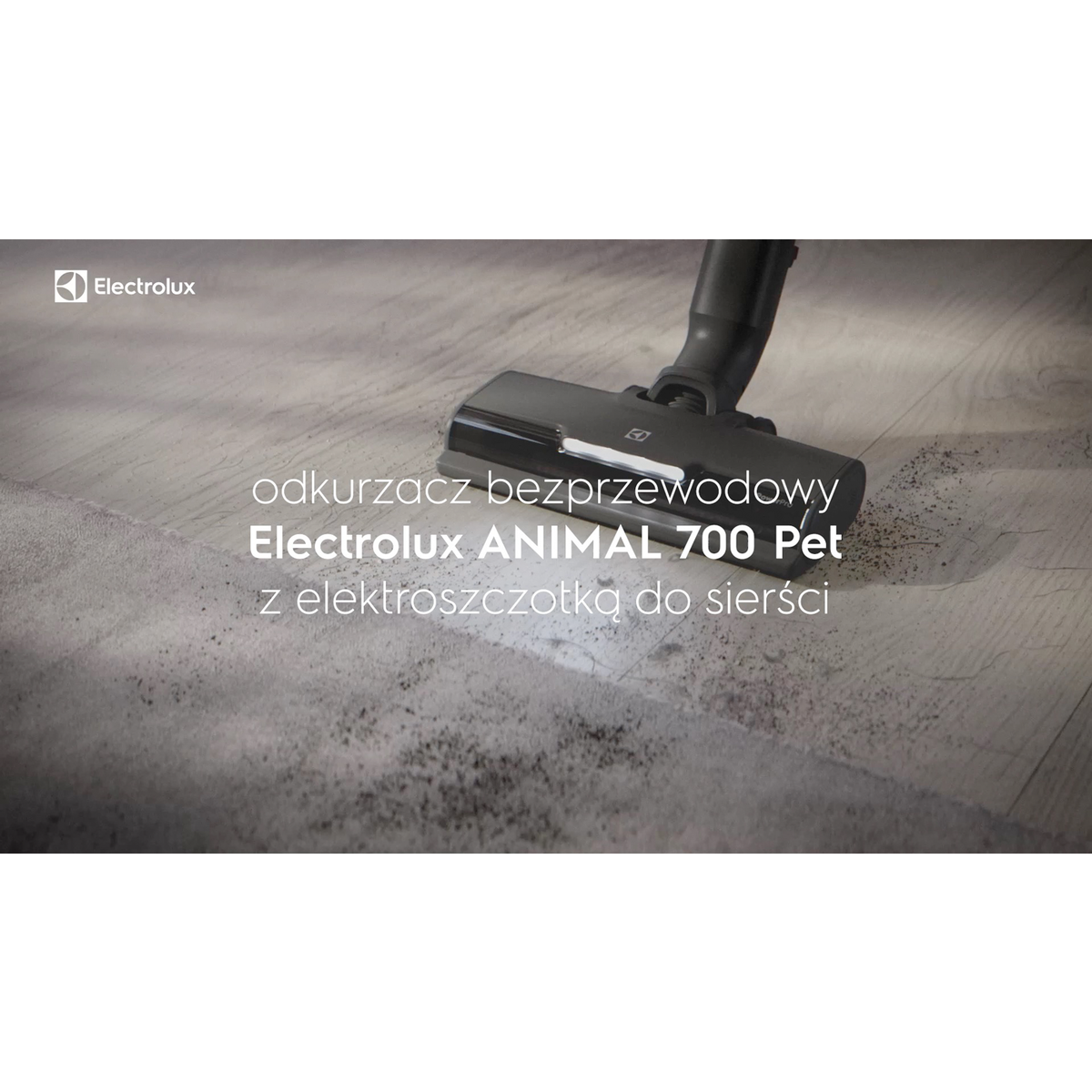 Electrolux - Odkurzacz bezprzewodowy - EP71AB14UG