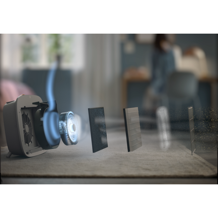 Electrolux - Filtr do oczyszczaczy powietrza - EFWBRZ3