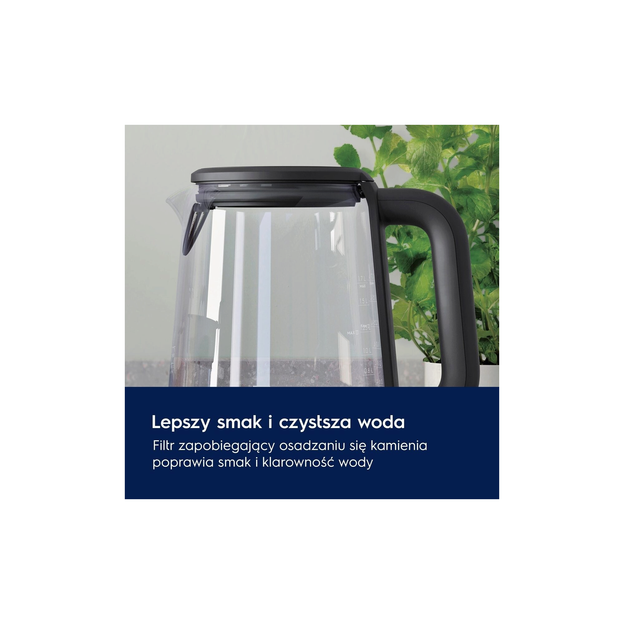 A photo of a glass kettle showing the advantages of the filter