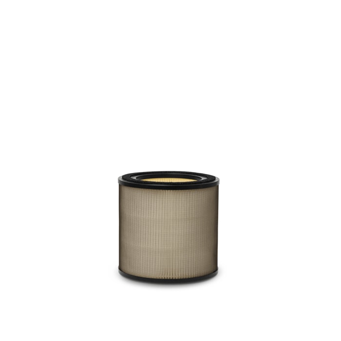 Electrolux Filtr pyłków EFFBTH2