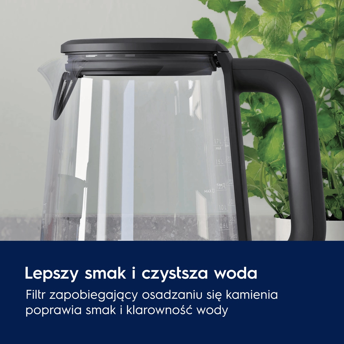 A photo of a glass kettle showing the advantages of the filter