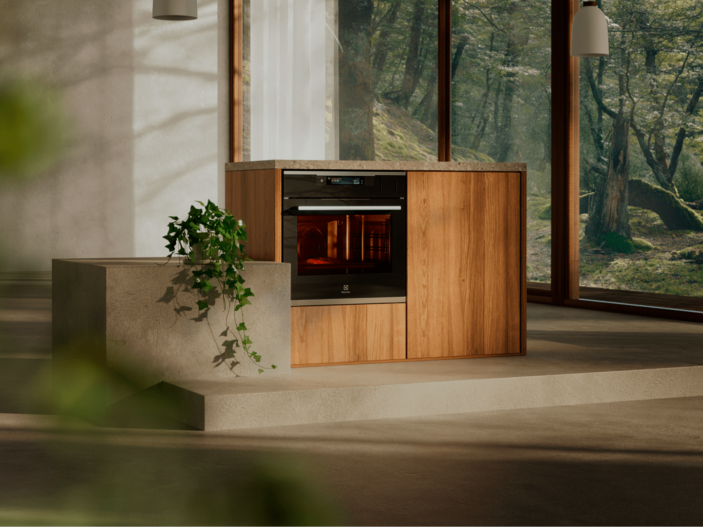 ELECTROLUX ECOLINE