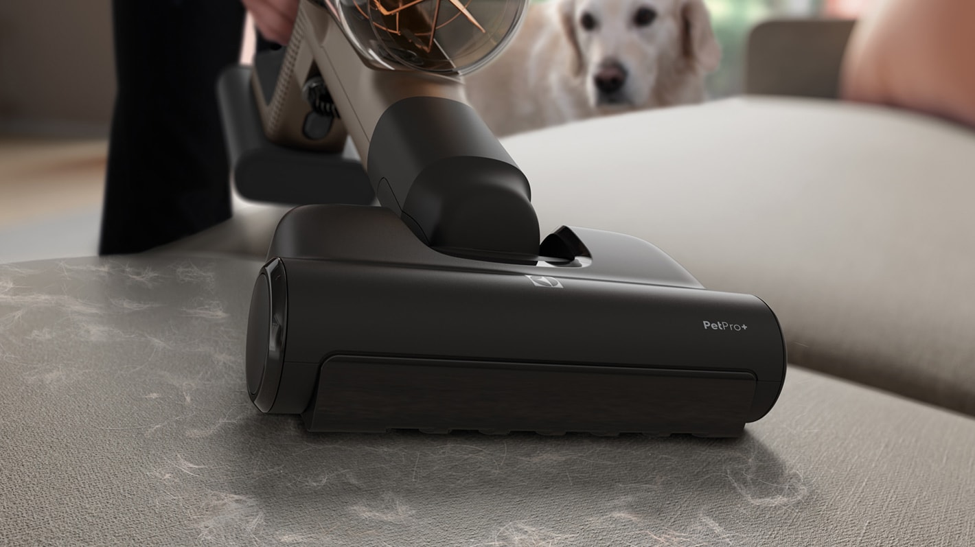 Dammsugare som st&auml;dar bort djurh&aring;r