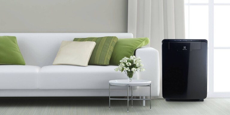 W starciu z zanieczyszczeniami powietrza