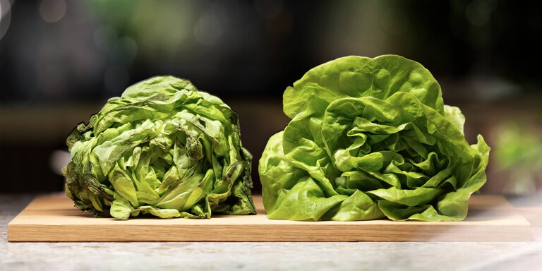 Inteligentny NoFrost i Multispace