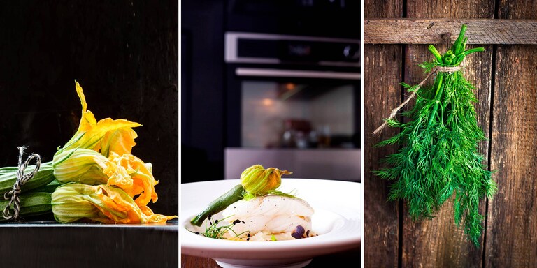 Turbot