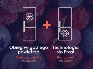 Jak działa system Inteligentny No Frost?
